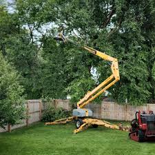 Best Utility Line Clearance  in Hallowell, ME