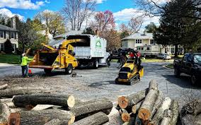 Best Tree Preservation Services  in Hallowell, ME