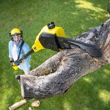 Best Emergency Tree Removal  in Hallowell, ME