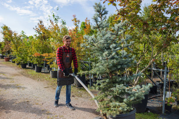 Best Weed Control  in Hallowell, ME