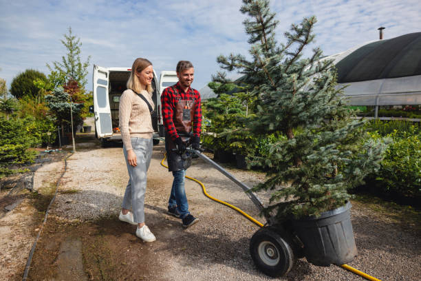 Best Leaf Removal  in Hallowell, ME