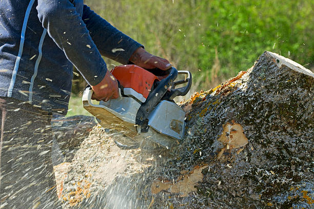 Best Lawn Grading and Leveling  in Hallowell, ME